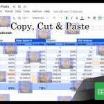 Copy cut n paste Google Sheets Tribbles